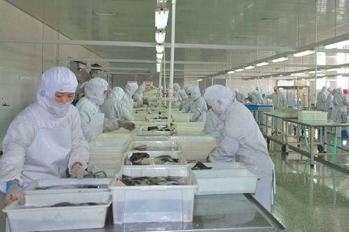 食品凈化車間的設計方案要求